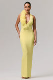 Harriet Lemon Plunge Neck Maxi Dress With Floral Detail