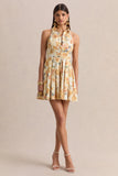 Paulie Lemon Rose Print Poplin Skater Mini Dress