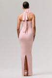 Harriet Pink Plunge Neck Maxi Dress With Floral Detail