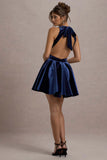 Mackie Navy Velvet Sleeveless Skater Mini Dress