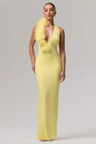 Harriet Lemon Plunge Neck Maxi Dress With Floral Detail