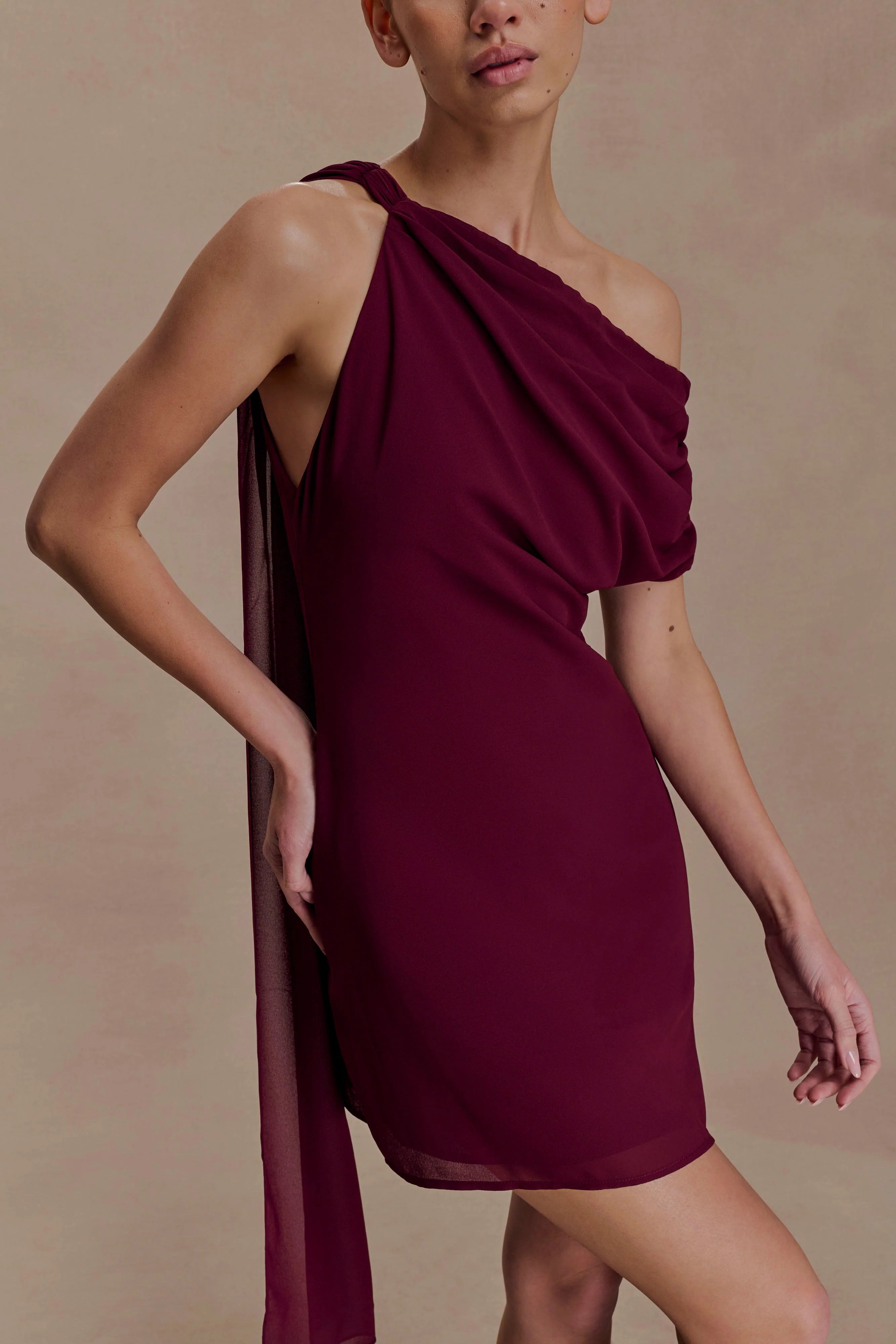 Daisie Chiffon Mini Dress Wine