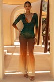 Serafia Ombre Print Mesh Long Sleeve Cover Up