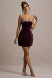 Naia Port Velvet Embellished Bandeau Mini Dress