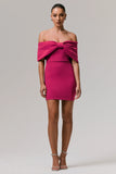 Sadie Hot Pink Bow Bardot Mini Dress