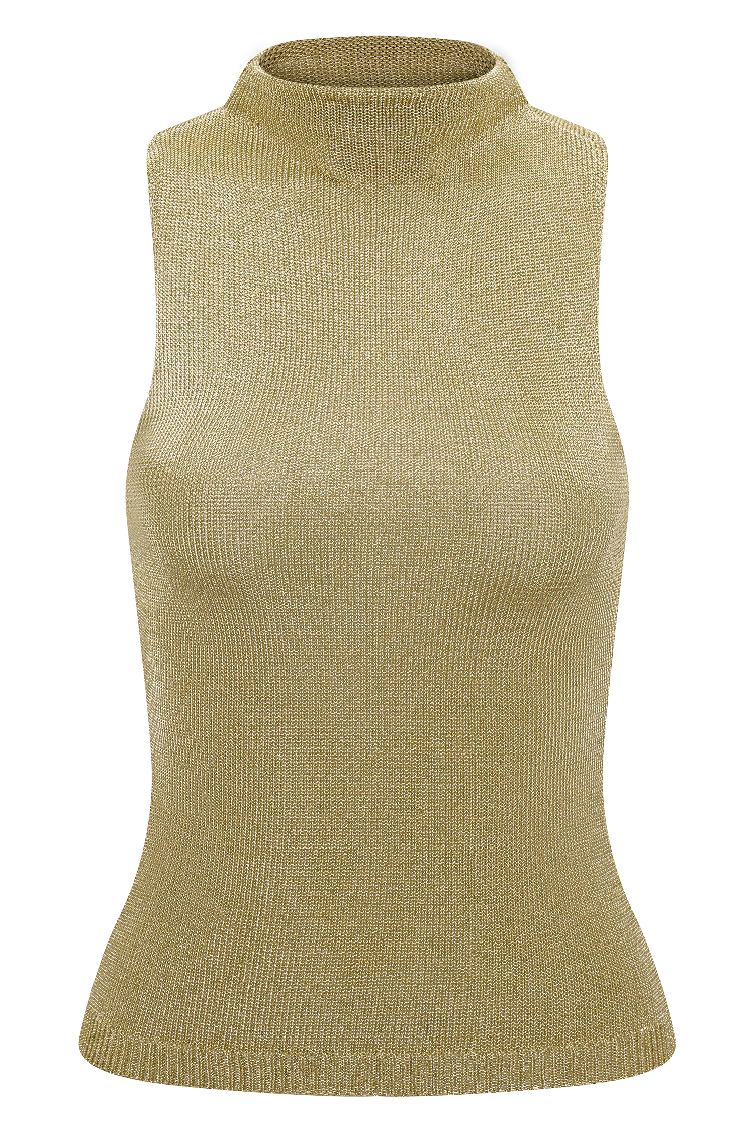 Nikki Lurex Top With Hardware Gold