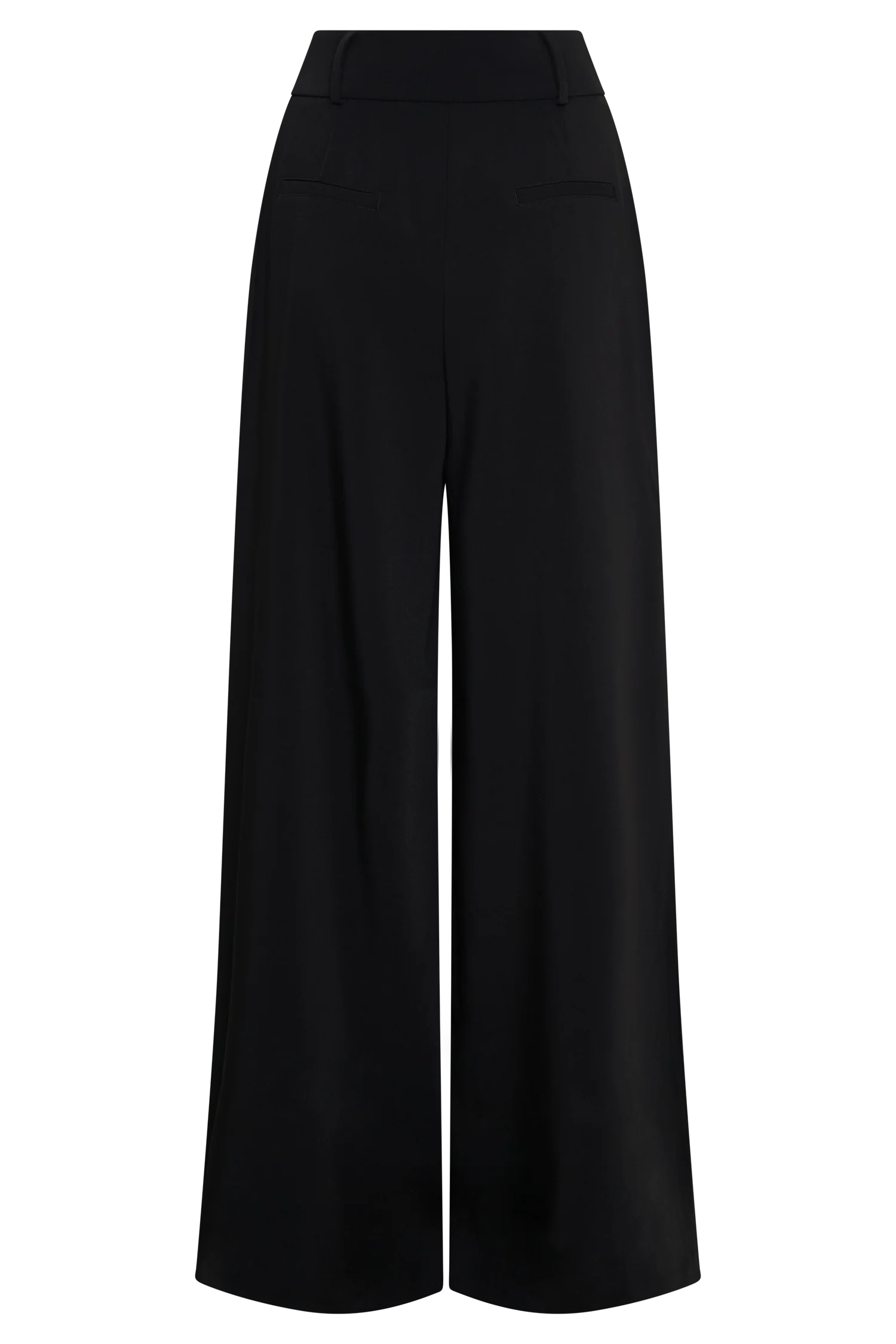 Jacqueline Pleated Wide Leg Pants Black