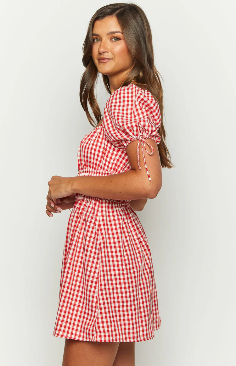 Im Yours Red Gingham Mini Dress