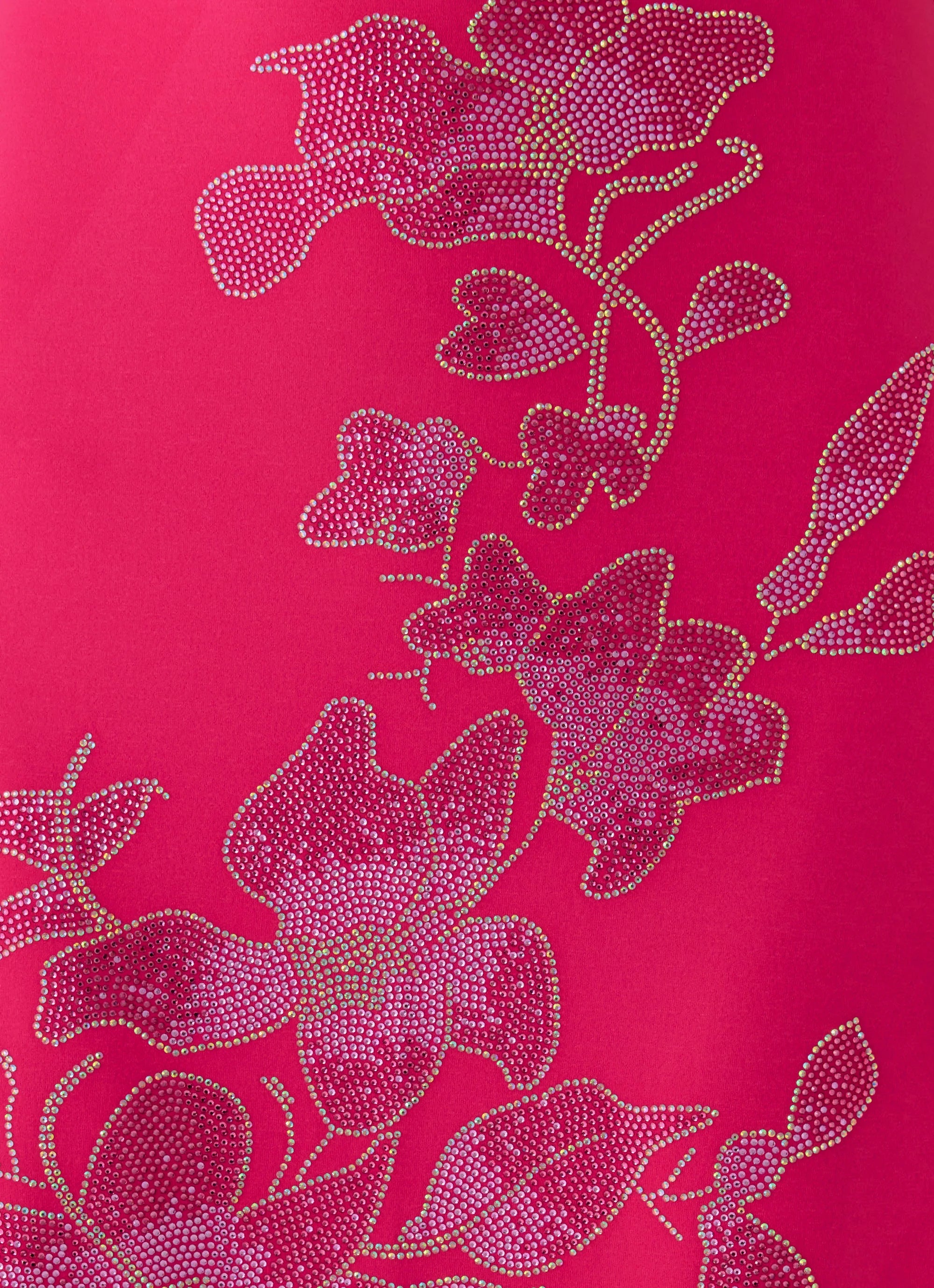 Carmine Embellished Maxi Dress Fuchsia