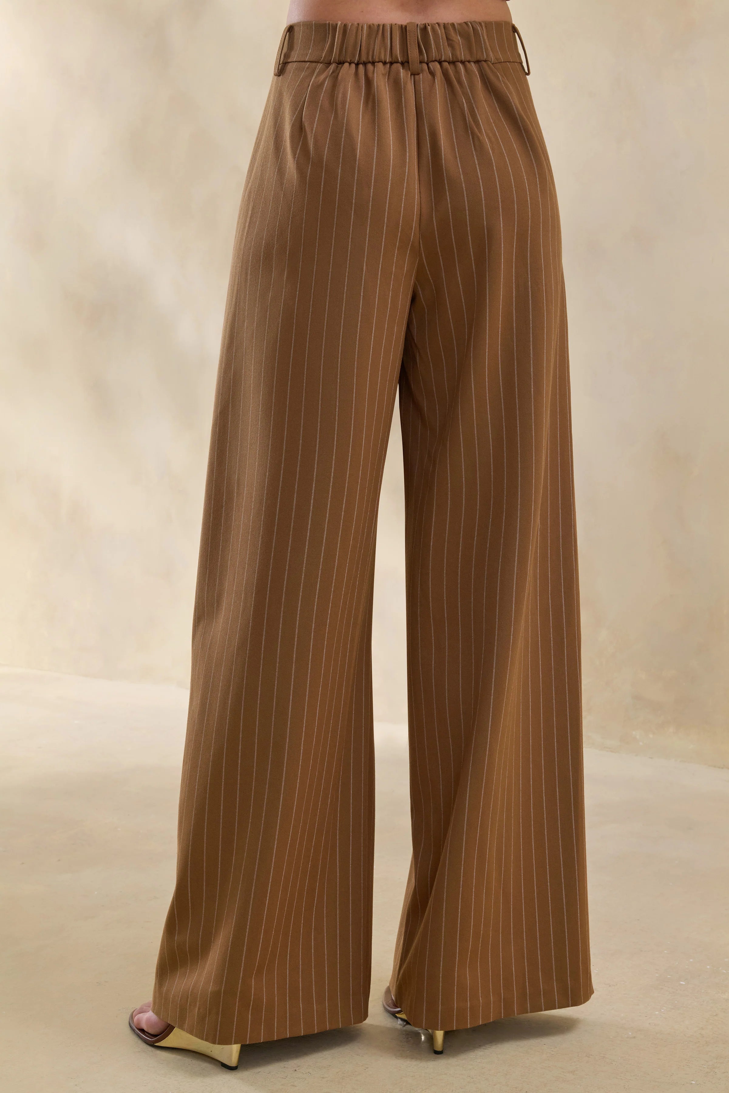 Meliva Brown Pinstripe Wide Leg Tailored Trouser