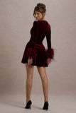 Pasilla Port Velvet Plunge Neck Feather Trim Mini Dress