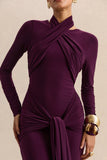 Linessa Dark Plum High Neck Maxi Dress With Sash And Gathered Detailing