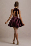 Mackie Port Velvet Sleeveless Skater Mini Dress