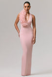 Harriet Pink Plunge Neck Maxi Dress With Floral Detail