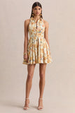 Paulie Lemon Rose Print Poplin Skater Mini Dress
