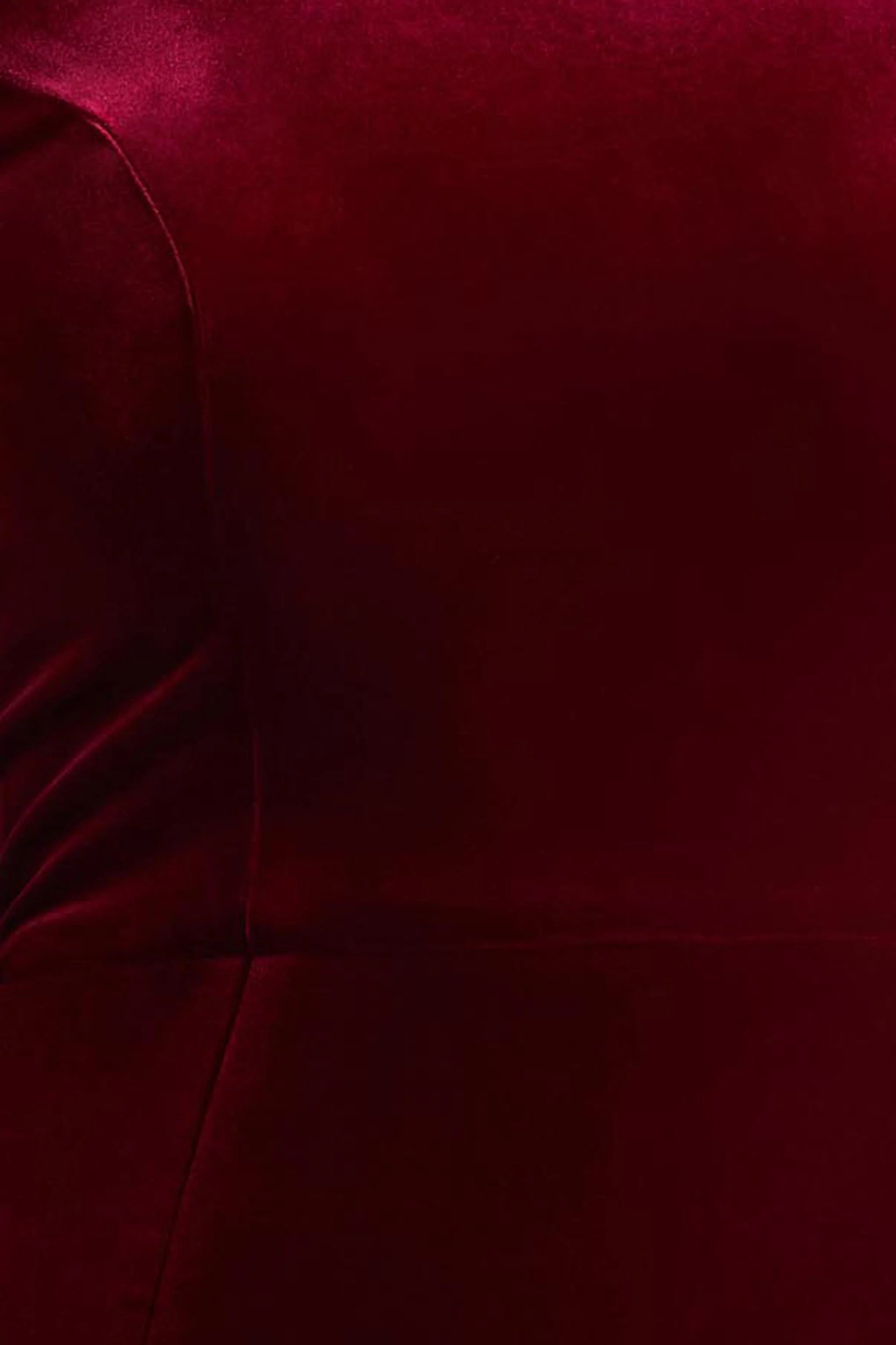 Margot Burgundy High Neck Velvet Mini Dress With Embellished Detail